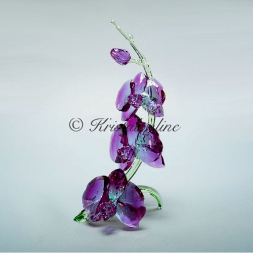 Swarovski Kristal | Crystal Paradise | Orchideeën 5243561